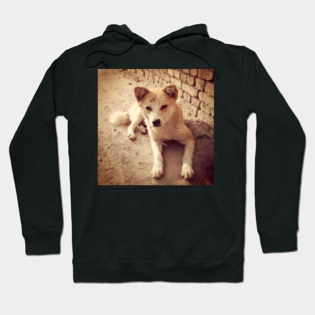 Street Dog of Kathmandu Hoodie by wanungara